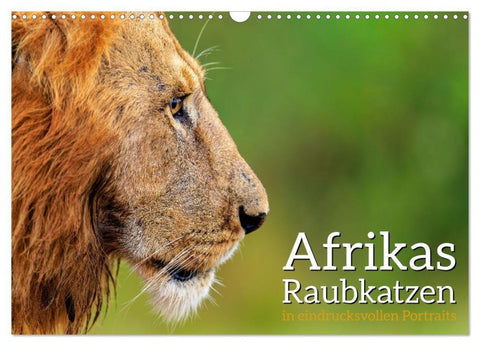 Afrikas Raubkatzen in eindrucksvollen Portraits (Wandkalender 2027 DIN A3 quer), CALVENDO Monatskalender