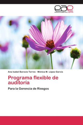 Programa flexible de auditoría