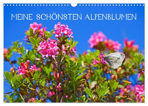 Meine schönsten Alpenblumen (Wandkalender 2027 DIN A3 quer), CALVENDO Monatskalender