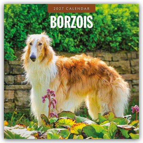 Borzois – Barsoi – Barzaia – Russischer Wolfshund 2027 – 16-Monatskalender