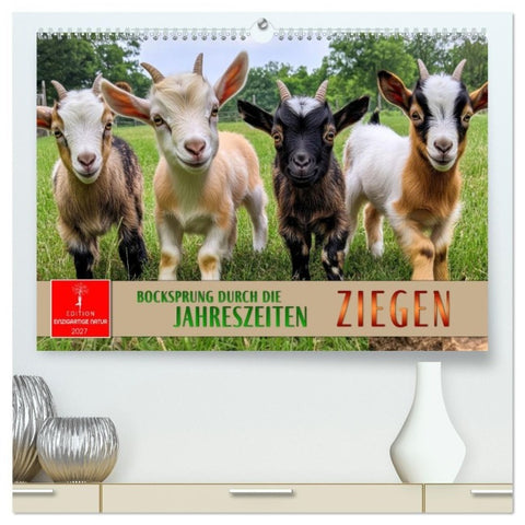 Ziegen - Bocksprung durch das Jahr (hochwertiger Premium Wandkalender 2027 DIN A2 quer), Kunstdruck in Hochglanz