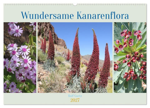 Wundersame Kanarenflora (Wandkalender 2027 DIN A2 quer), CALVENDO Monatskalender