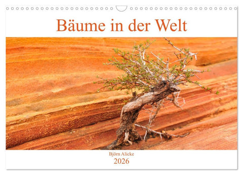 Bäume in der Welt (Wandkalender 2026 DIN A3 quer), CALVENDO Monatskalender