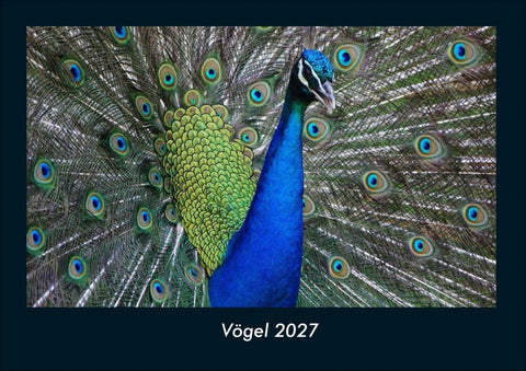 Vögel 2027 Fotokalender DIN A4