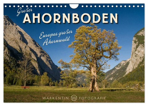 Großer Ahornboden - Europas großer Ahornwald (Wandkalender 2026 DIN A4 quer), CALVENDO Monatskalender