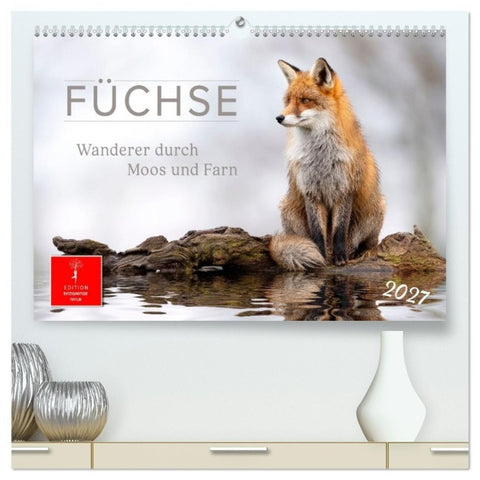 Füchse - Wanderer durch Moos und Farn (hochwertiger Premium Wandkalender 2027 DIN A2 quer), Kunstdruck in Hochglanz