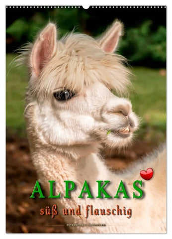 Alpakas - süß und flauschig (Wandkalender 2027 DIN A2 hoch), CALVENDO Monatskalender