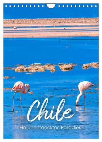 Chile - Ein unentdecktes Paradies. (Wandkalender 2027 DIN A4 hoch), CALVENDO Monatskalender