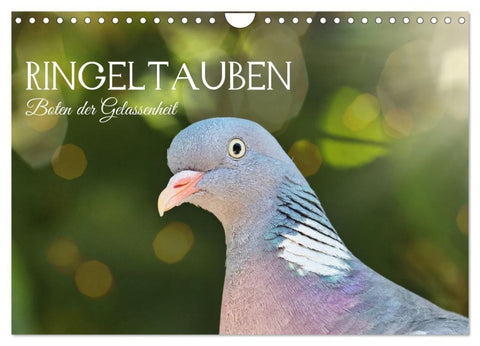 Ringeltauben, Boten der Gelassenheit (Wandkalender 2027 DIN A4 quer), CALVENDO Monatskalender