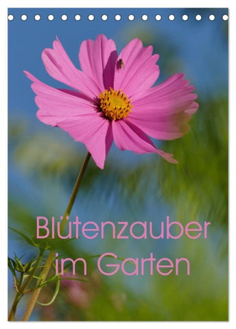 Blütenzauber im Garten (Tischkalender 2027 DIN A5 hoch), CALVENDO Monatskalender