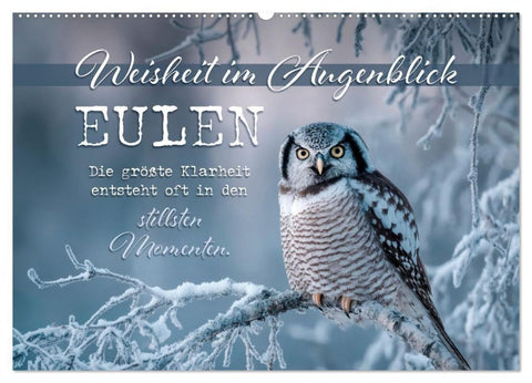Eulen - Weisheit im Augenblick (Wandkalender 2027 DIN A2 quer), CALVENDO Monatskalender