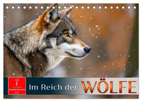 Im Reich der Wölfe (Tischkalender 2027 DIN A5 quer), CALVENDO Monatskalender