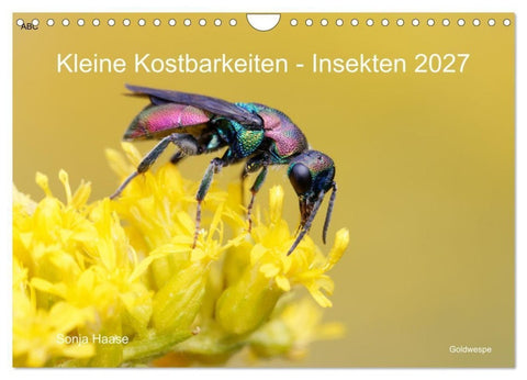 Kleine Kostbarkeiten Insekten (Wandkalender 2027 DIN A4 quer), CALVENDO Monatskalender