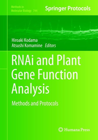 RNAi and Plant Gene Function Analysis
