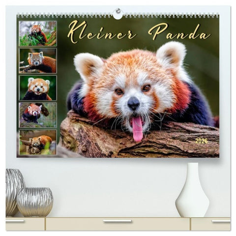 Kleiner Panda (hochwertiger Premium Wandkalender 2026 DIN A2 quer), Kunstdruck in Hochglanz