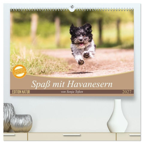 Spaß mit Havanesern (hochwertiger Premium Wandkalender 2027 DIN A2 quer), Kunstdruck in Hochglanz