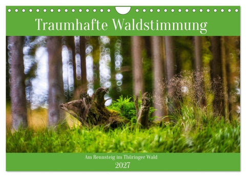 Traumhafte Waldstimmung am Rennsteig im Thüringer Wald (Wandkalender 2027 DIN A4 quer), CALVENDO Monatskalender