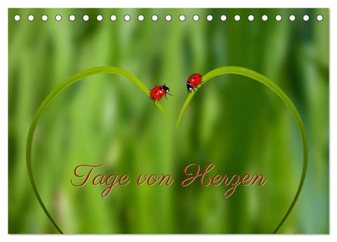 Tage von Herzen (Tischkalender 2027 DIN A5 quer), CALVENDO Monatskalender