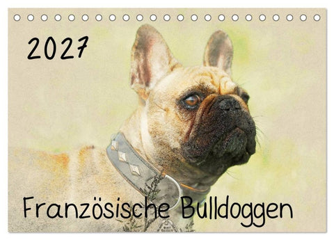 Französische Bulldoggen 2027 (Tischkalender 2027 DIN A5 quer), CALVENDO Monatskalender