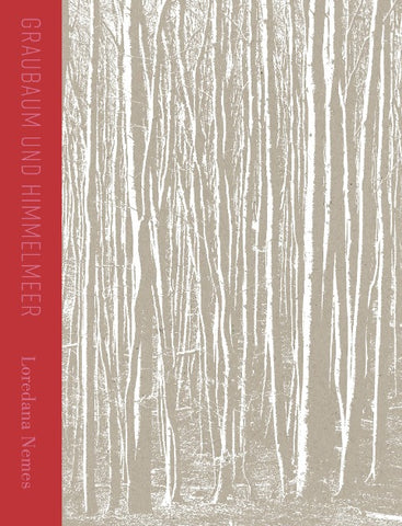 Loredana Nemes | Graubaum und Himmelmeer