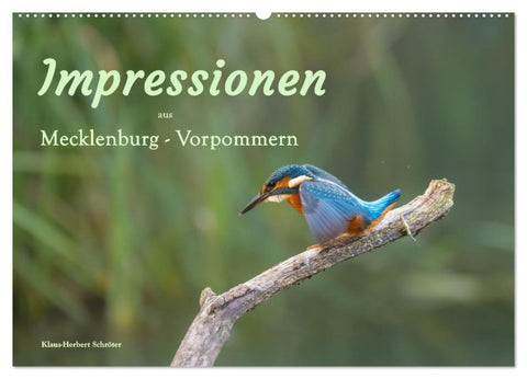 Impressionen aus Mecklenburg - Vorpommern (Wandkalender 2027 DIN A2 quer), CALVENDO Monatskalender