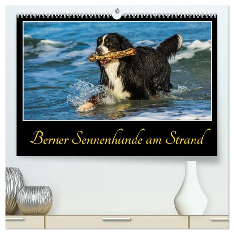 Berner Sennenhunde am Strand (hochwertiger Premium Wandkalender 2027 DIN A2 quer), Kunstdruck in Hochglanz