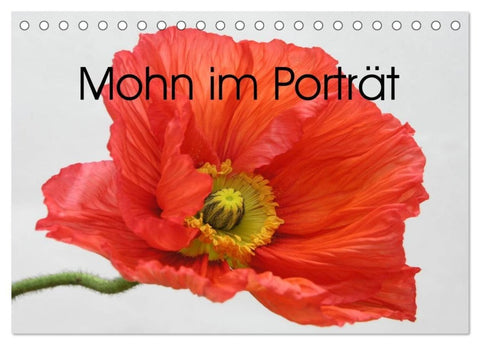 Mohn im Porträt (Tischkalender 2027 DIN A5 quer), CALVENDO Monatskalender