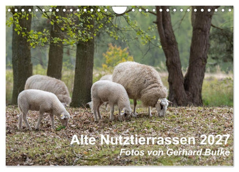 Alte Nutztierrassen 2027 (Wandkalender 2027 DIN A4 quer), CALVENDO Monatskalender
