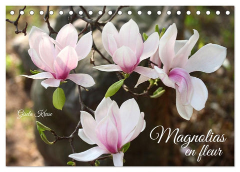 Magnolias en fleur (Calendrier de bureau 2026 DIN A5 vertical), CALVENDO calendrier mensuel