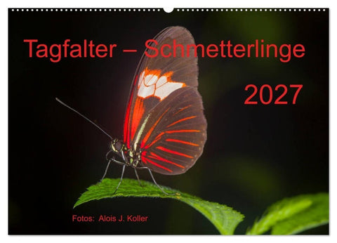 Tagfalter Schmetterlinge (Wandkalender 2027 DIN A2 quer), CALVENDO Monatskalender