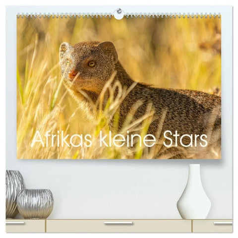 Afrikas kleine Stars (hochwertiger Premium Wandkalender 2027 DIN A2 quer), Kunstdruck in Hochglanz