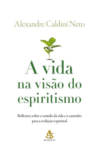 A vida na visão do espiritismo