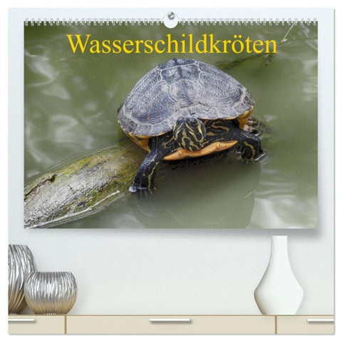 Wasserschildkröten (hochwertiger Premium Wandkalender 2027 DIN A2 quer), Kunstdruck in Hochglanz