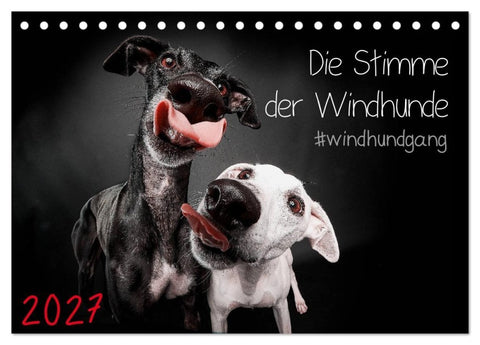 Die Stimme der Windhunde (Tischkalender 2027 DIN A5 quer), CALVENDO Monatskalender