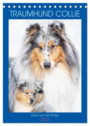 Traumhund Collie - Glück auf vier Pfoten (Tischkalender 2027 DIN A5 hoch), CALVENDO Monatskalender