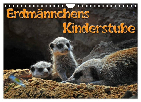 Erdmännchens Kinderstube (Wandkalender 2027 DIN A4 quer), CALVENDO Monatskalender