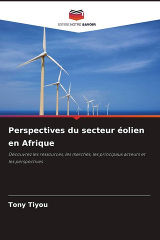 Perspectives du secteur éolien en Afrique