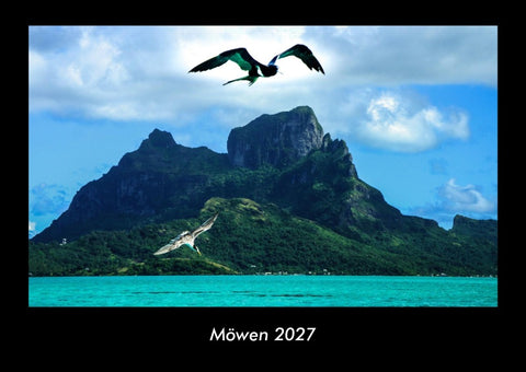 Möwen 2027 Fotokalender DIN A3