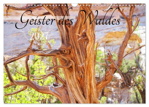 Geisterbäume (Wandkalender 2027 DIN A3 quer), CALVENDO Monatskalender