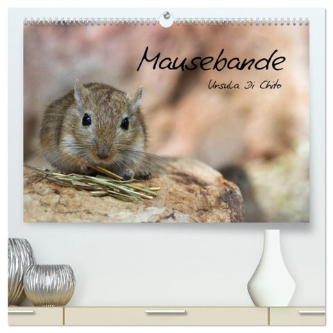 Mausebande (hochwertiger Premium Wandkalender 2027 DIN A2 quer), Kunstdruck in Hochglanz