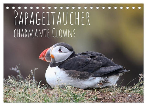 Papageitaucher - charmante Clowns (Tischkalender 2026 DIN A5 quer), CALVENDO Monatskalender