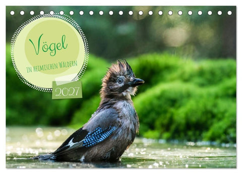Vögel in heimischen Wäldern (Tischkalender 2027 DIN A5 quer), CALVENDO Monatskalender