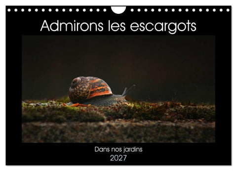 Admirons les escargots (Calendrier mural 2027 DIN A4 vertical), CALVENDO calendrier mensuel
