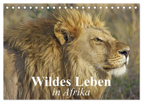 Wildes Leben in Afrika (Tischkalender 2027 DIN A5 quer), CALVENDO Monatskalender