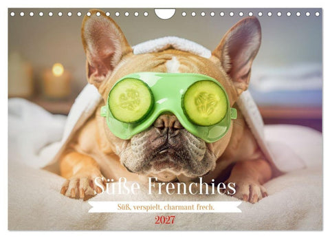 Süße Frenchies (Wandkalender 2027 DIN A4 quer), CALVENDO Monatskalender