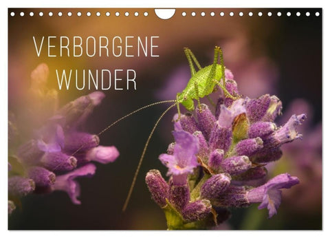 Verborgene Wunder (Wandkalender 2027 DIN A4 quer), CALVENDO Monatskalender