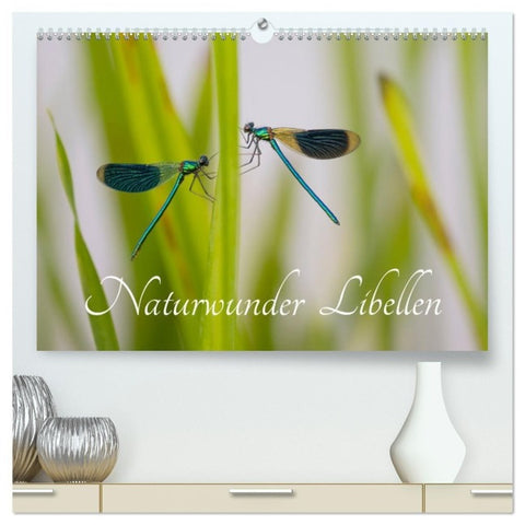 Naturwunder Libellen (hochwertiger Premium Wandkalender 2027 DIN A2 quer), Kunstdruck in Hochglanz