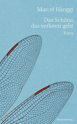 Das Schöne, das verloren geht