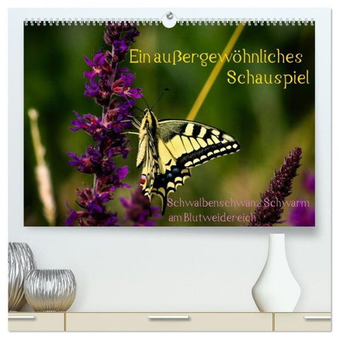 Ein außergewöhnliches Schauspiel (hochwertiger Premium Wandkalender 2027 DIN A2 quer), Kunstdruck in Hochglanz