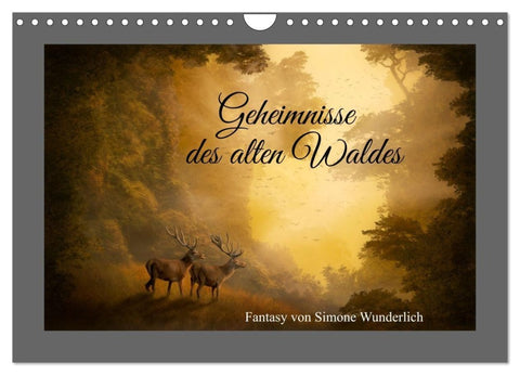 Geheimnisse des alten Waldes (Wandkalender 2027 DIN A4 quer), CALVENDO Monatskalender